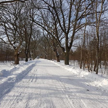 In Nature Bialowieza Exterior photo